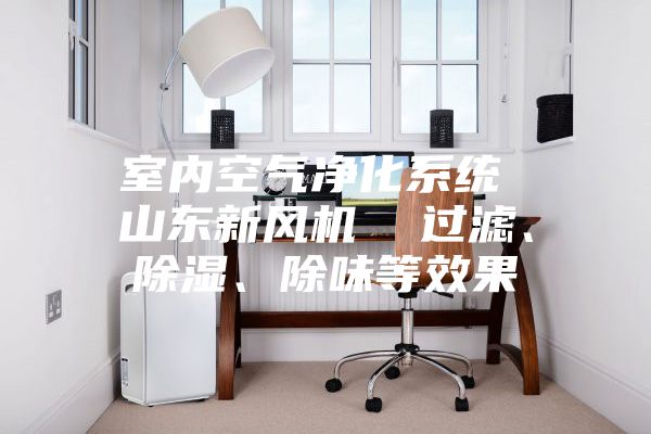 室內(nèi)空氣凈化系統(tǒng) 山東新風機  過濾、除濕、除味等效果