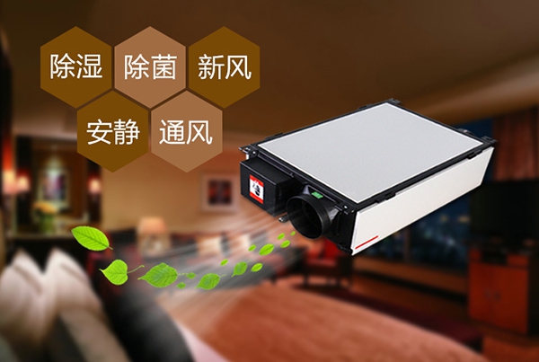 出梅？再等等，在家該如何防潮除濕？
