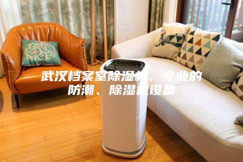 武漢檔案室除濕機(jī)，專業(yè)的防潮、除濕機(jī)設(shè)備