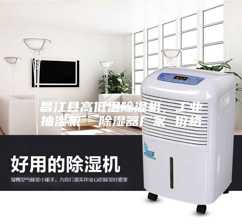 昌江縣高低溫除濕機(jī)，工業(yè)抽濕機(jī)  除濕器廠家 價(jià)格