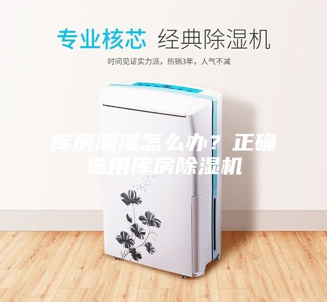 庫房潮濕怎么辦？正確選用庫房除濕機