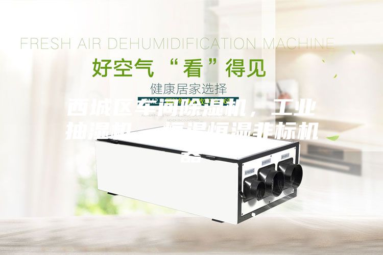 西城區(qū)車間除濕機(jī)，工業(yè)抽濕機(jī)  恒溫恒濕非標(biāo)機(jī)器
