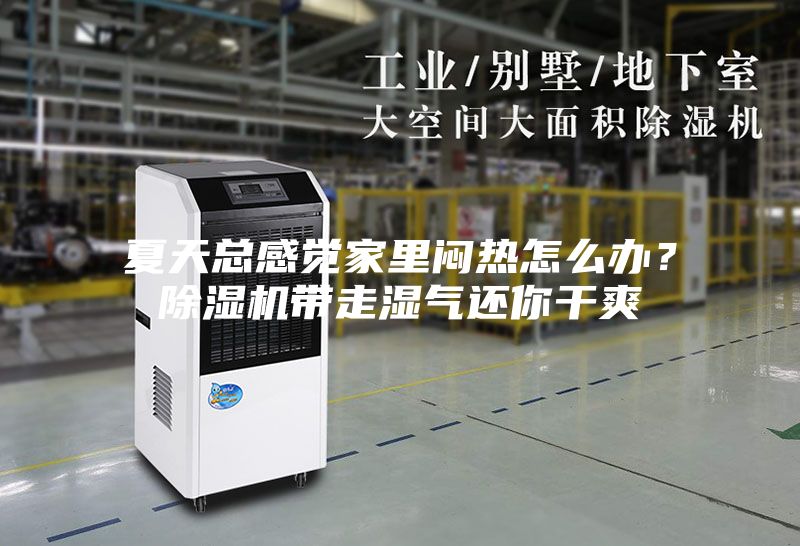 夏天總感覺家里悶熱怎么辦？除濕機帶走濕氣還你干爽