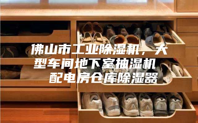 佛山市工業(yè)除濕機，大型車間地下室抽濕機  配電房倉庫除濕器