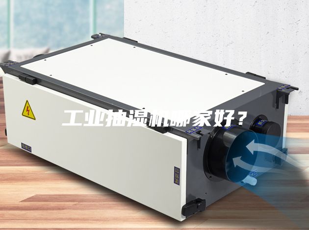 工業(yè)抽濕機(jī)哪家好？