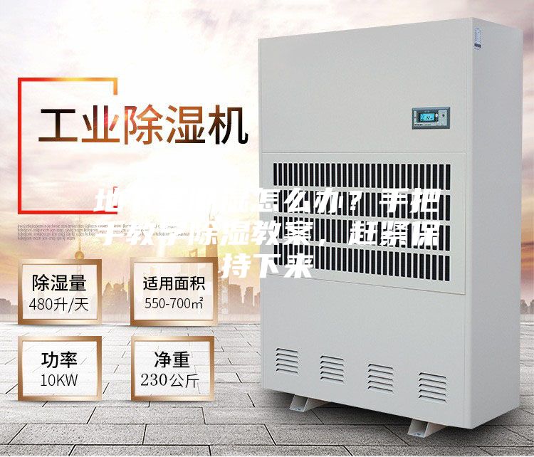 地下室潮濕怎么辦？手把手教學(xué)除濕教案，趕緊保持下來
