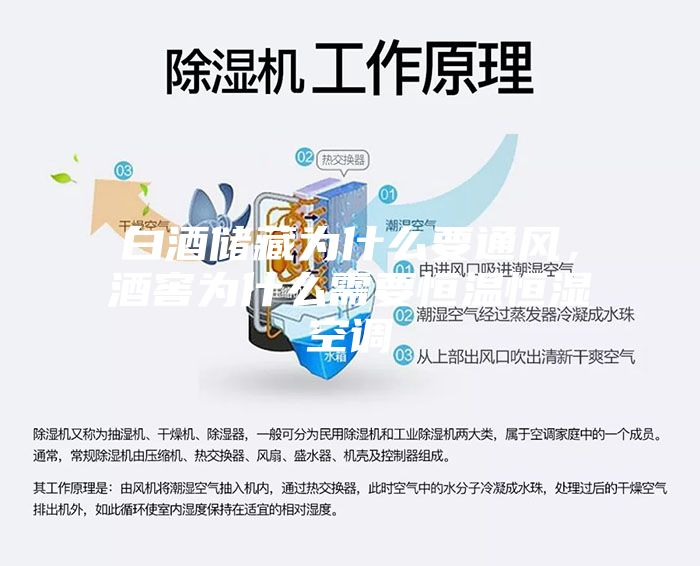 白酒儲(chǔ)藏為什么要通風(fēng)，酒窖為什么需要恒溫恒濕空調(diào)