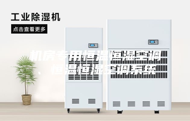 機房專用恒溫恒濕空調(diào)、恒溫恒濕空調(diào)系統(tǒng)