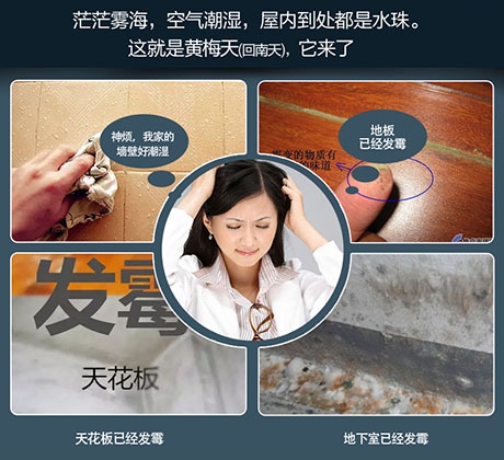 酒店、餐廳這么潮，誰還放心？除濕機用起來啊