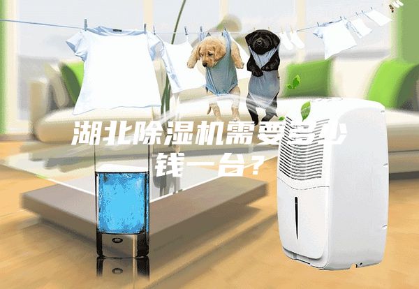 湖北除濕機(jī)需要多少錢一臺？