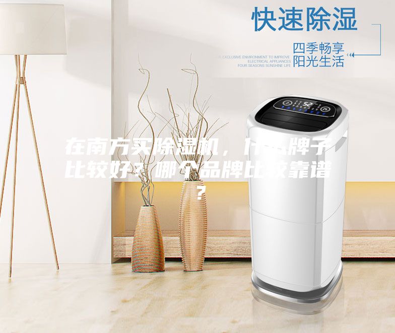 在南方買除濕機，什么牌子比較好？哪個品牌比較靠譜？