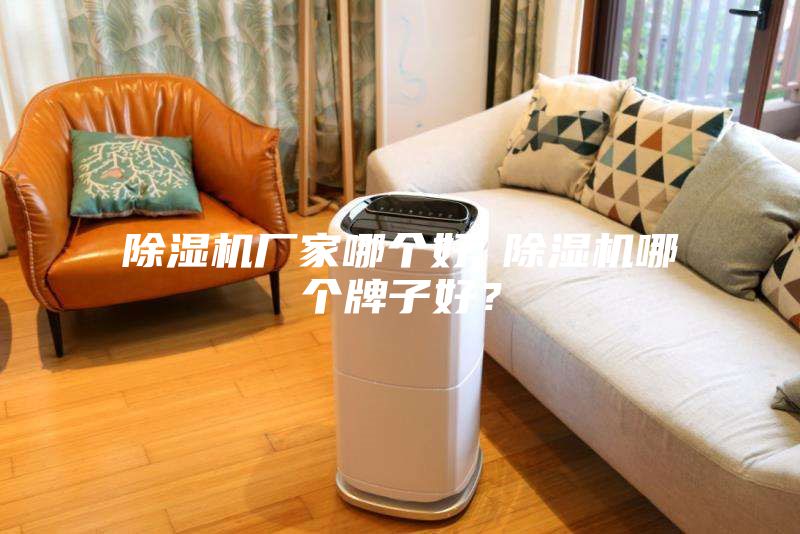 除濕機(jī)廠家哪個(gè)好 除濕機(jī)哪個(gè)牌子好？