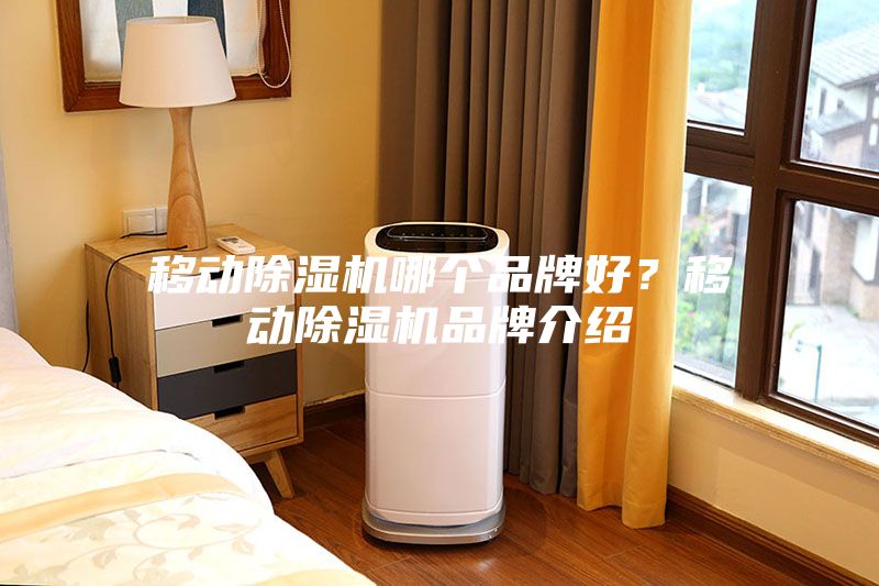 移動(dòng)除濕機(jī)哪個(gè)品牌好？移動(dòng)除濕機(jī)品牌介紹