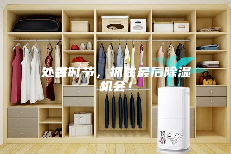 處暑時(shí)節(jié)，抓住最后除濕機(jī)會(huì)！