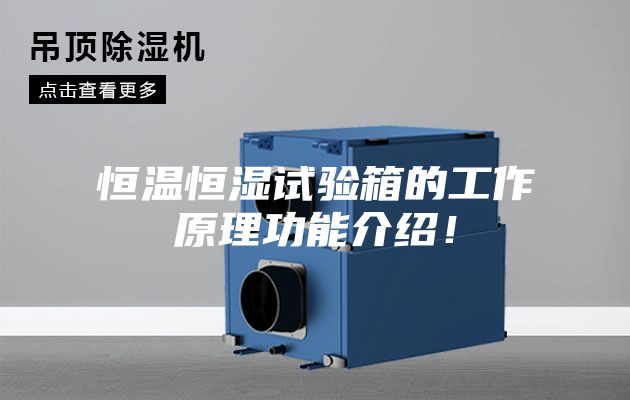 恒溫恒濕試驗(yàn)箱的工作原理功能介紹！