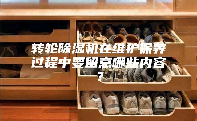 轉(zhuǎn)輪除濕機(jī)在維護(hù)保養(yǎng)過程中要留意哪些內(nèi)容？