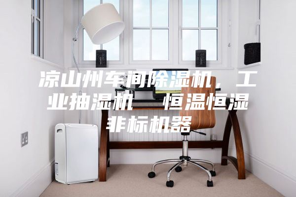 涼山州車間除濕機(jī)，工業(yè)抽濕機(jī)  恒溫恒濕非標(biāo)機(jī)器