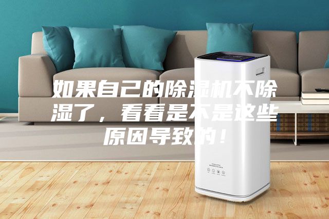 如果自己的除濕機(jī)不除濕了，看看是不是這些原因?qū)е碌模?></div>
								<div   id=