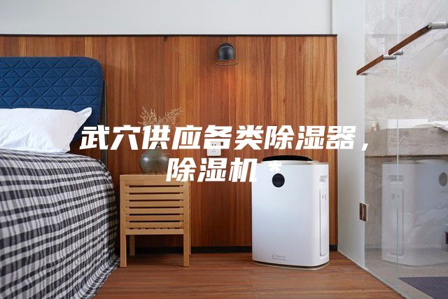 武穴供應(yīng)各類除濕器，除濕機＊