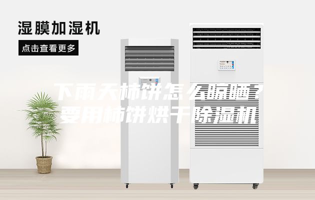 下雨天柿餅怎么晾曬？要用柿餅烘干除濕機(jī)