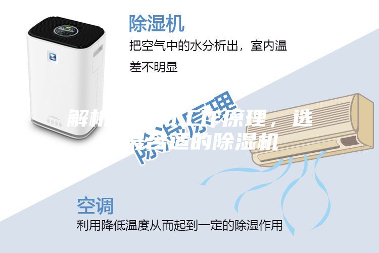 解析壓縮機(jī)工作原理，選購(gòu)最合適的除濕機(jī)
