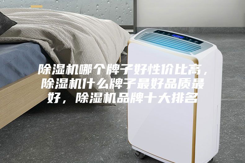 除濕機(jī)哪個(gè)牌子好性價(jià)比高，除濕機(jī)什么牌子最好品質(zhì)最好，除濕機(jī)品牌十大排名