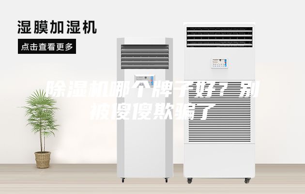 除濕機(jī)哪個牌子好？別被傻傻欺騙了