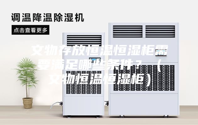 文物存放恒溫恒濕柜需要滿足哪些條件？（文物恒溫恒濕柜）