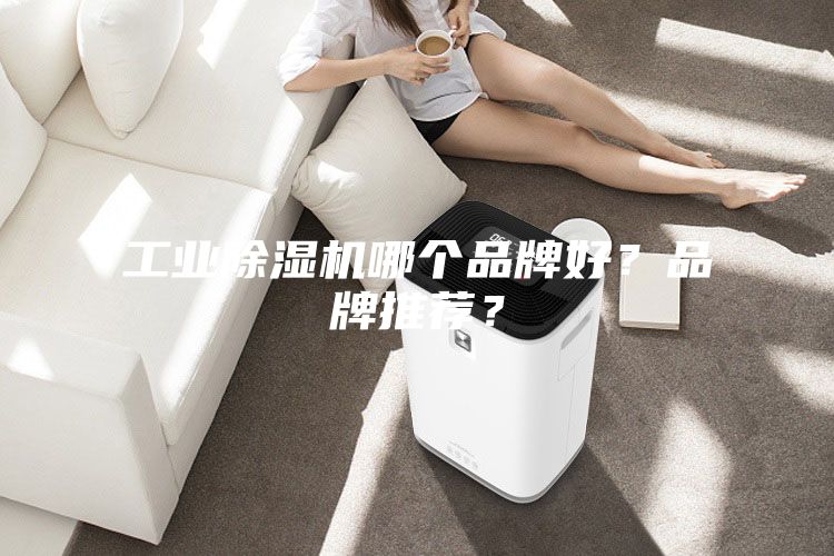 工業(yè)除濕機(jī)哪個(gè)品牌好？品牌推薦？