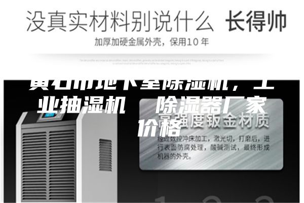 黃石市地下室除濕機(jī)，工業(yè)抽濕機(jī)  除濕器廠家 價(jià)格