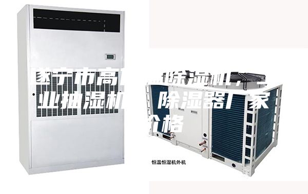 遂寧市高低溫除濕機，工業(yè)抽濕機  除濕器廠家 價格