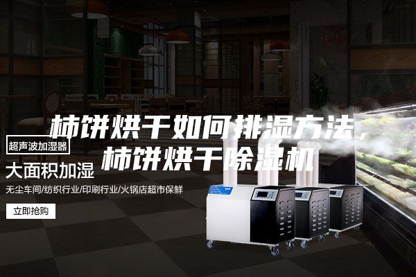 柿餅烘干如何排濕方法，柿餅烘干除濕機(jī)