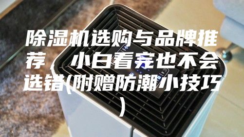 除濕機選購與品牌推薦，小白看完也不會選錯(附贈防潮小技巧)