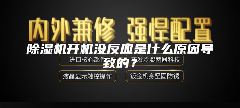 除濕機開機沒反應(yīng)是什么原因?qū)е碌模?/></p>
                            <p style=