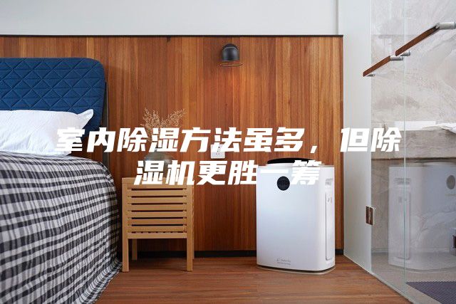 室內(nèi)除濕方法雖多，但除濕機更勝一籌