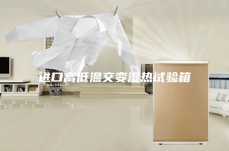 進(jìn)口高低溫交變濕熱試驗(yàn)箱
