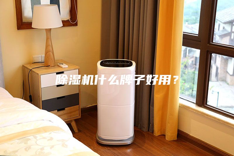 除濕機(jī)什么牌子好用？