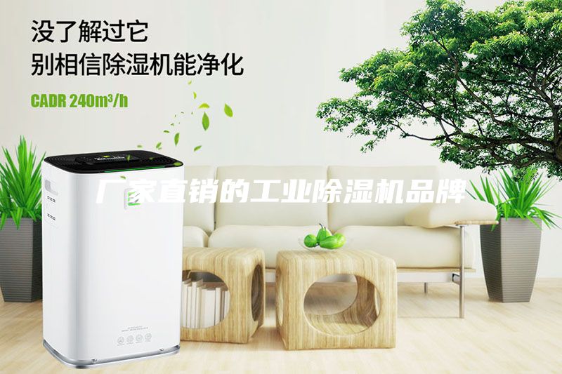 廠家直銷(xiāo)的工業(yè)除濕機(jī)品牌