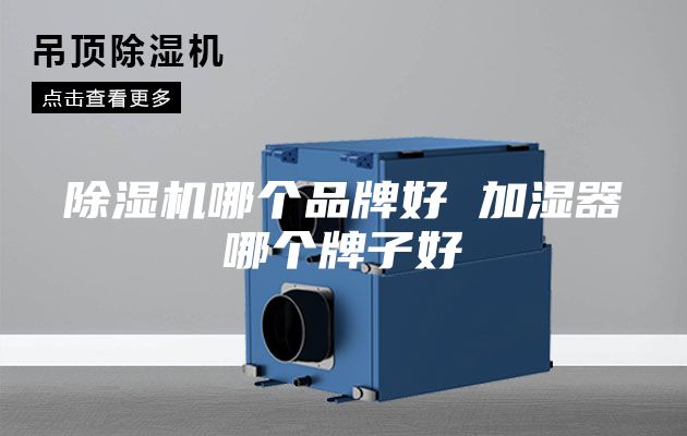 除濕機(jī)哪個品牌好 加濕器哪個牌子好