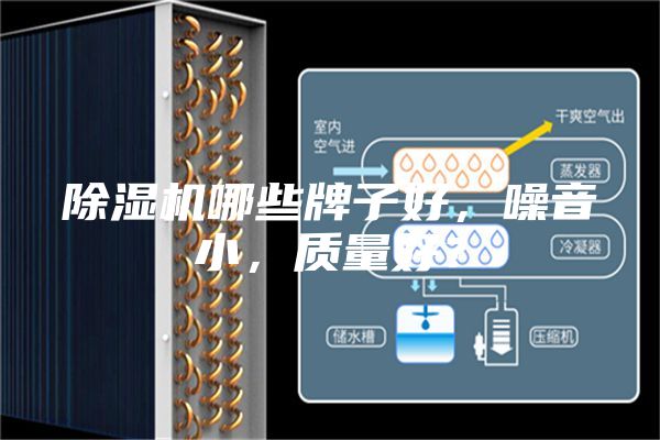 除濕機哪些牌子好，噪音小，質量好？
