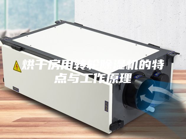 烘干房用轉(zhuǎn)輪除濕機(jī)的特點(diǎn)與工作原理