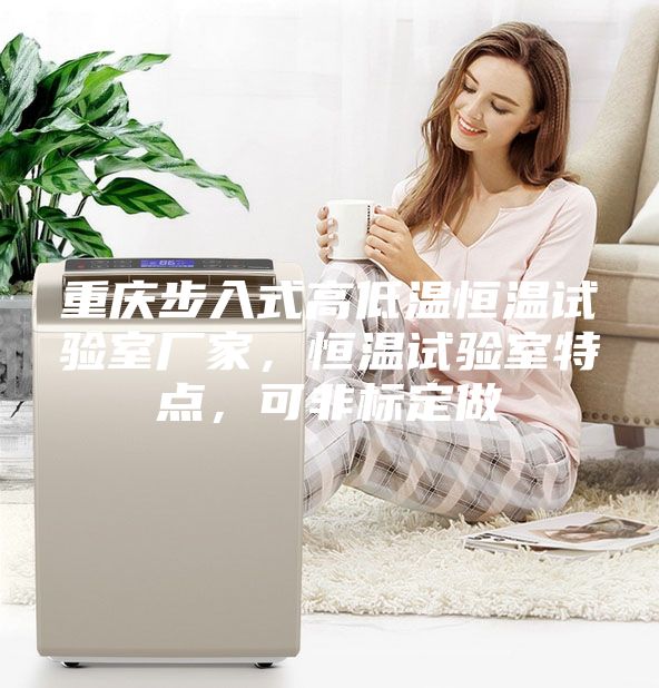 重慶步入式高低溫恒溫試驗室廠家，恒溫試驗室特點(diǎn)，可非標(biāo)定做
