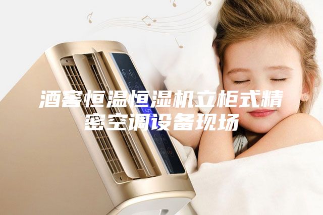 酒窖恒溫恒濕機(jī)立柜式精密空調(diào)設(shè)備現(xiàn)場(chǎng)