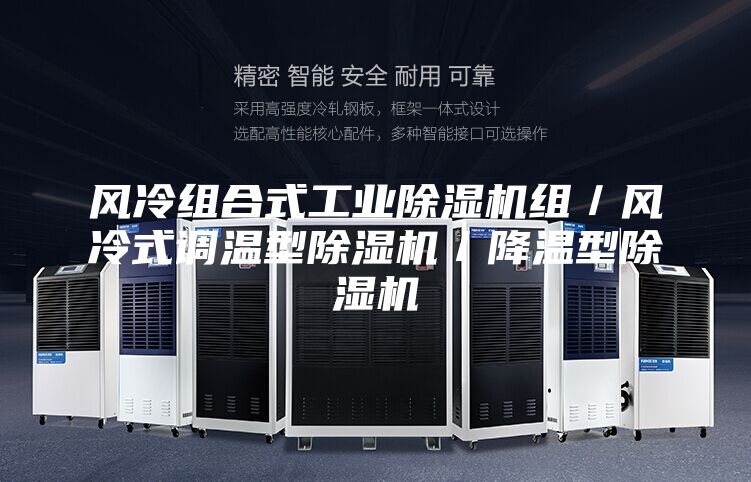 風(fēng)冷組合式工業(yè)除濕機(jī)組/風(fēng)冷式調(diào)溫型除濕機(jī)/降溫型除濕機(jī)