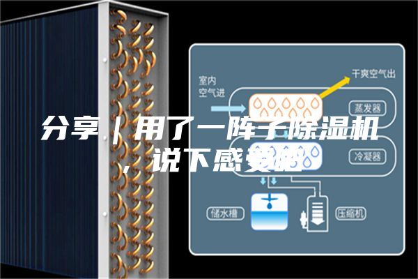 分享｜用了一陣子除濕機(jī)，說(shuō)下感受吧