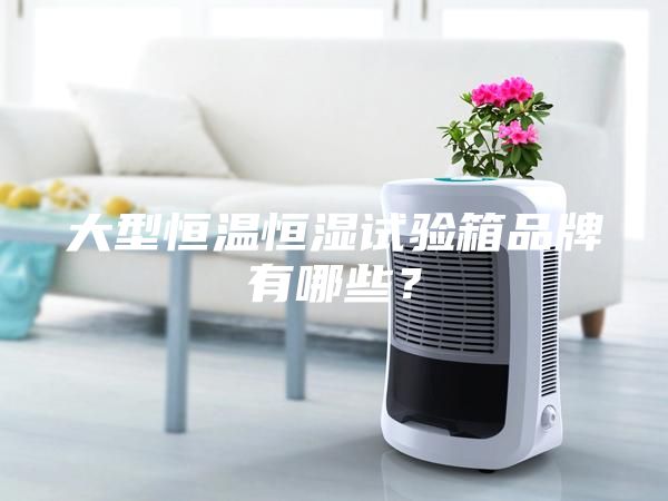 大型恒溫恒濕試驗(yàn)箱品牌有哪些？