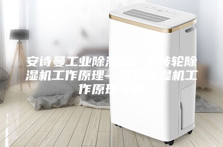 安詩曼工業(yè)除濕機廠家轉輪除濕機工作原理—轉輪除濕機工作原理詳解