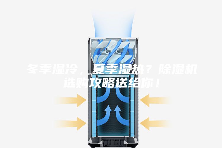 冬季濕冷，夏季濕熱？除濕機選購攻略送給你！