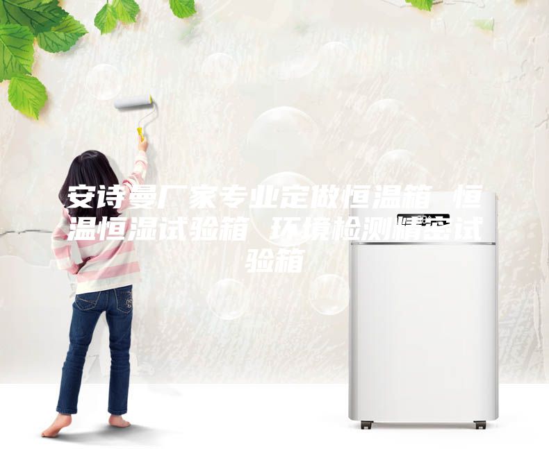 安詩(shī)曼廠家專業(yè)定做恒溫箱 恒溫恒濕試驗(yàn)箱 環(huán)境檢測(cè)精密試驗(yàn)箱
