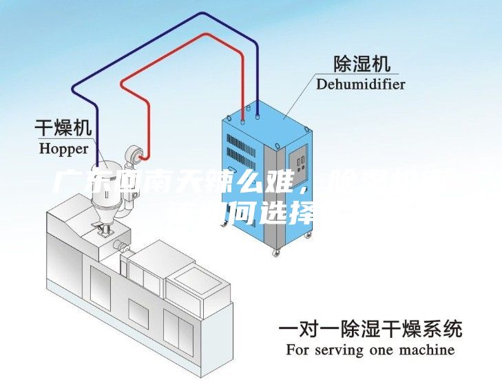 廣東回南天辣么難，除濕機(jī)應(yīng)該如何選擇？